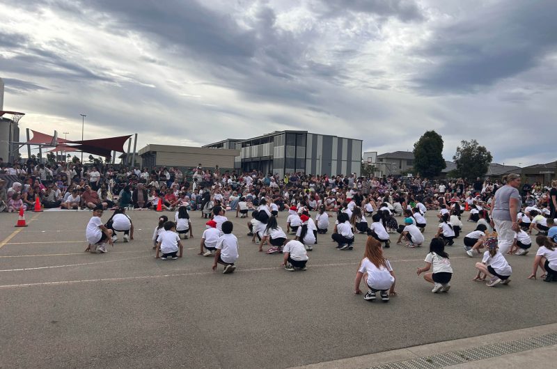 School Concerts & Showcases